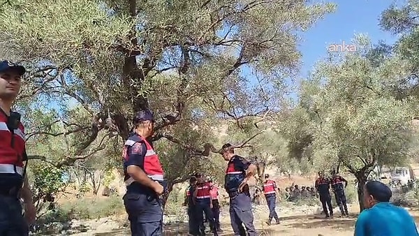 Zehra Teyze’nin Ölümü ve Akbelen Direnişi: Ağaç Söküme Bu Sabah Başlandı