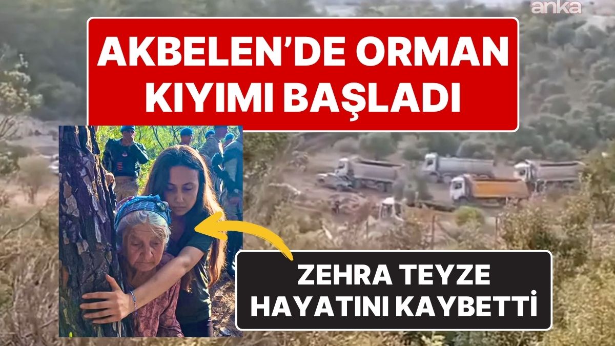 Zehra Teyze’nin Ölümü ve Akbelen Direnişi: Ağaç Söküme Bu Sabah Başlandı