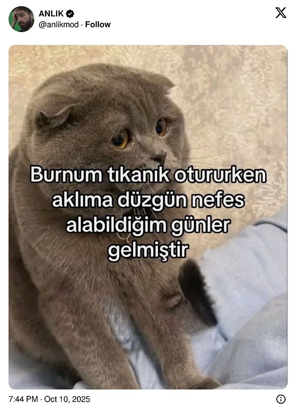 Ağırlığımdan İltifata Cevap Veremeyenler İçin Son 24 Saatin Viral Tweetlerini Teknoflagıyla Köpüren Tasarım Tasarımı!