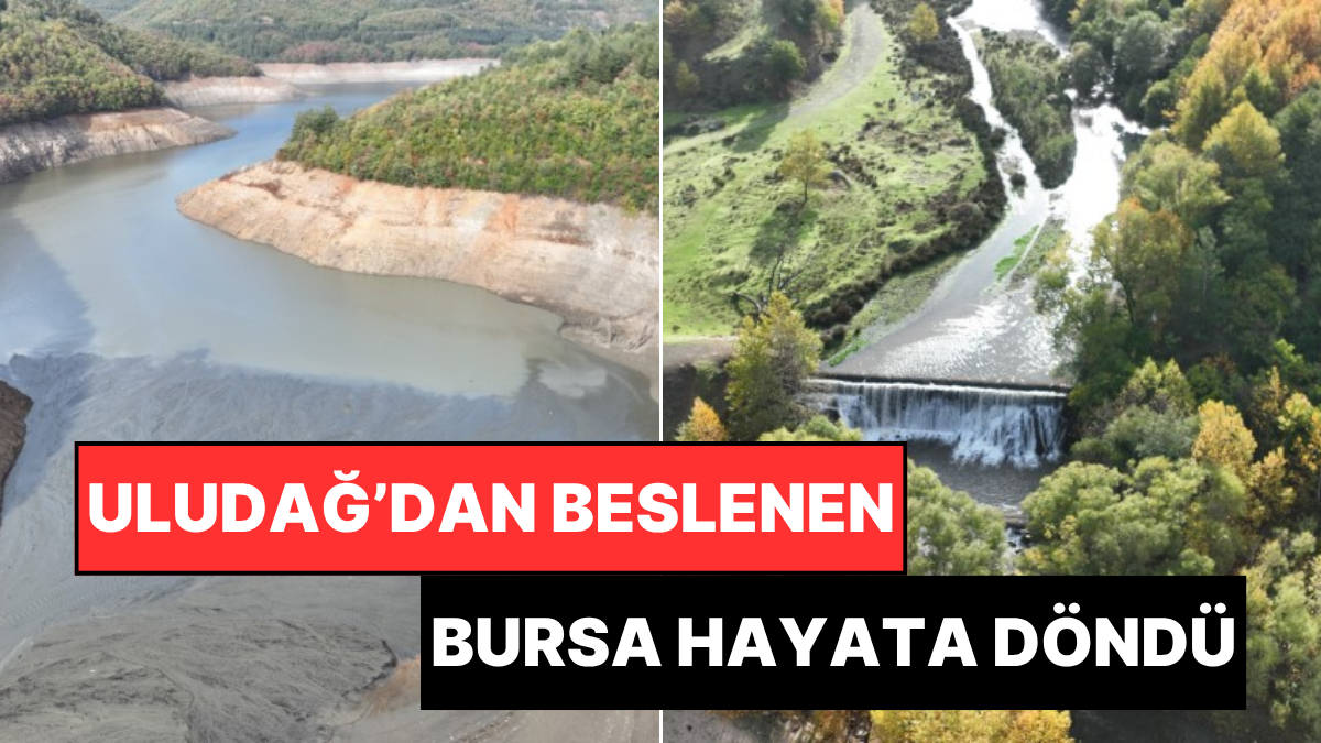 Bursa Doğa Yeniden Canlandı: Kuruyan Dereler Yağmurla Can Buldu