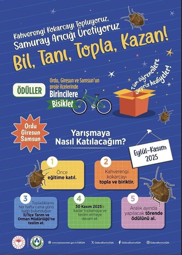 Çocuklar İçin Kokarca Böceği Toplama Yarışı: Kazanana Bisiklet Ödülü