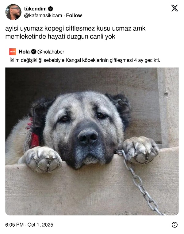 Çok Yanlış Tutanlara Ağır Darbe: Son 24 Saatin Viral Tweetleriyle Blok Ders Mağdurlarına Son Söz!