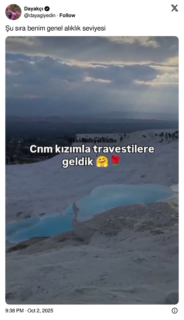 Doğruyu Unutturan Yazım Yanlışından Kaçış: 24 Saatte Yönünüzü Kaybeden 10. Sınıftan Sonra En Viral Tweetler