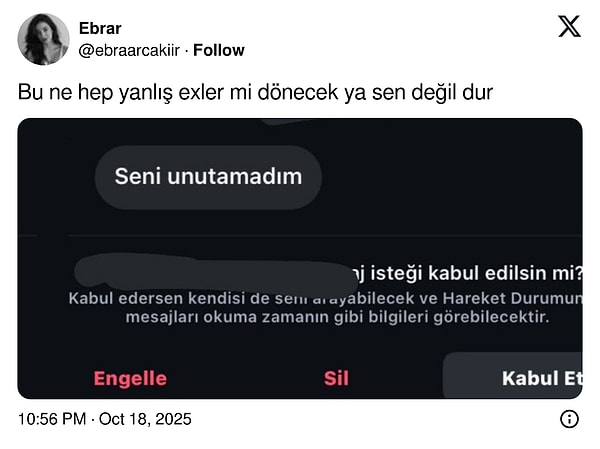 Duvar Kağıdıyla Tüm Dilekleri Gerçekleştiren Sihirli Goygoy Malzemesi: Hayal Gücü Şöleni!
