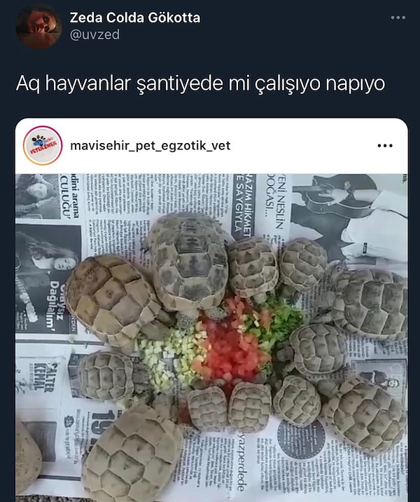 Eski Twitter'ın Başka Olduğunu Gösteren Kaçıranlar ve Tekrar Gülmek İsteyenler İçin Efsane Tweetler: Bir Zamanlar Çıldıran Diller, Şimdi Şaka Olarak Takılıyor!