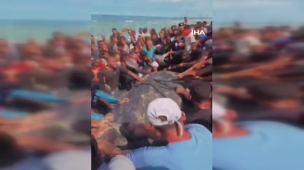 Gazze’de Karaya Vuran 10 Metre Boyunda Balık Görüntüsü Şaşırttı