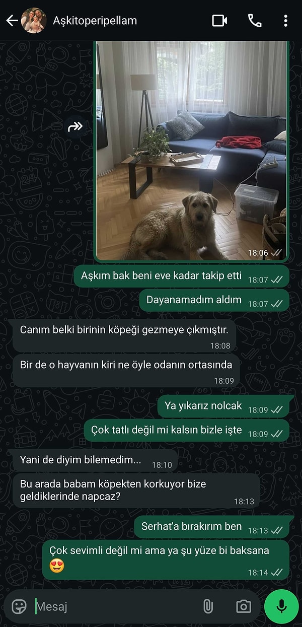 Gemini ile Sevdiklerinize Zamanında ve Zararsız Şakalar: Hemen Deneyin!