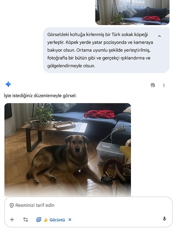 Gemini ile Sevdiklerinize Zamanında ve Zararsız Şakalar: Hemen Deneyin!