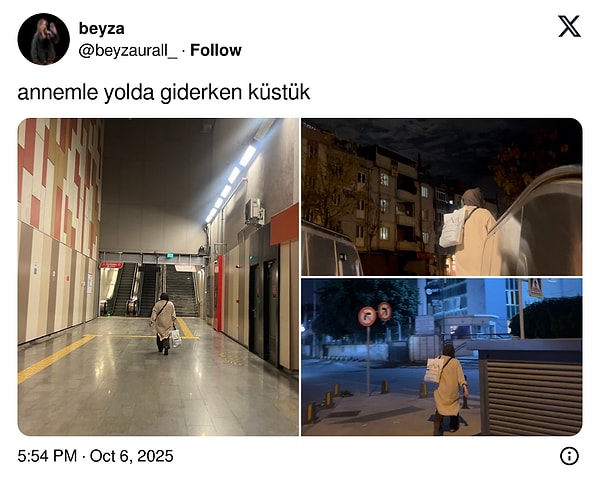 Günlük Hayatın Tadını Çıkaran Twitter İzlenimleri: Manzara mı, Mizah mı? Fun Türkçe Başlık