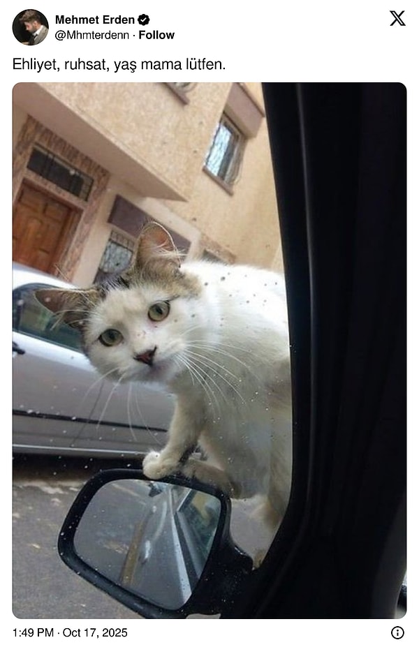 Günlük Hayattan Nefes Kesen Anlar: Twitter’da Manzaralardan Mizah Taneleri