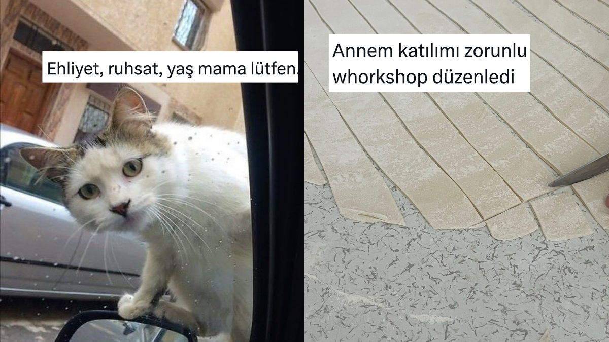 Günlük Hayattan Nefes Kesen Anlar: Twitter’da Manzaralardan Mizah Taneleri