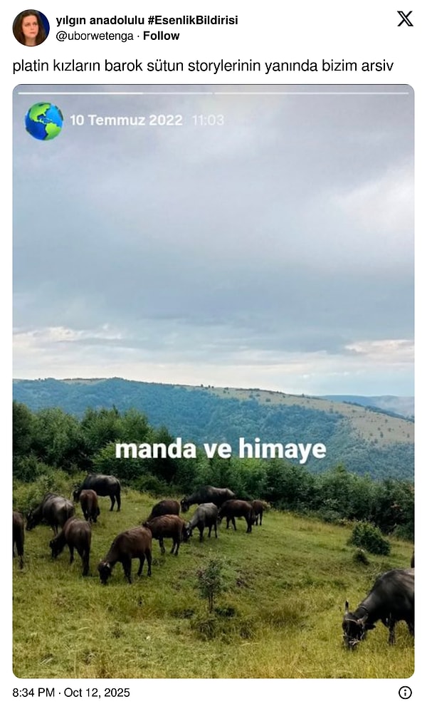 İşte Instagram Arşivlerini Göğsünü Gere Gere Açan X Kullanıcılarını Şaşırtan Anlar: Eğlencenin Alemi!