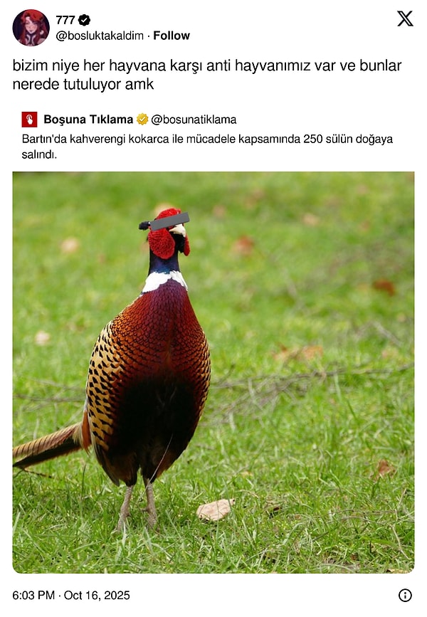 Kadınların Askere Alınmasından İlginç İsim Benzerliklerine: Son 24 Saatin En Viral Tweetleriyle Gülümseten Anlar!