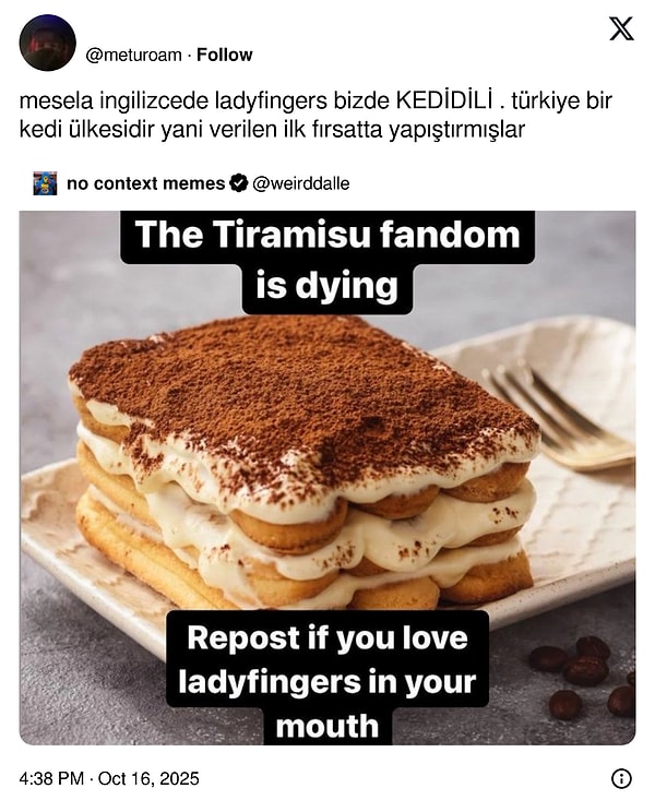 Kadınların Askere Alınmasından İlginç İsim Benzerliklerine: Son 24 Saatin En Viral Tweetleriyle Gülümseten Anlar!