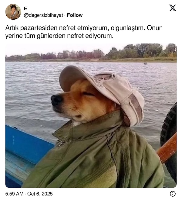 Kahkaha Garantili: Son 24 Saatin Viral Tweetleriyle Eşeğini Satan Nasreddin Hoca’nın Gösterişli Kaçışı!