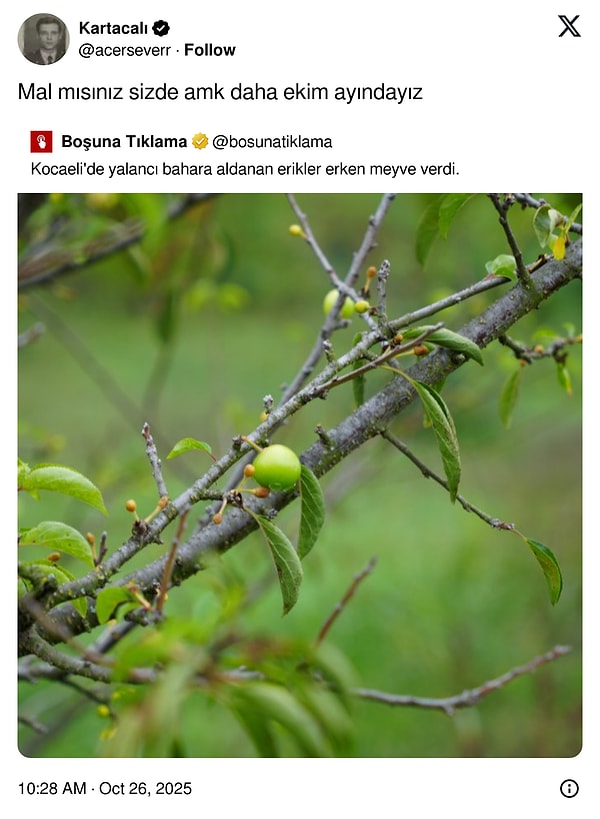 Kardeşini Maskara Edenlerden İlginç Okul Anılarına: Son 24 Saatin Viral Tweetleriyle Gülmeye Hazır Ol!