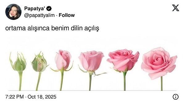 Kendi Paranla İhtiyacını Karşılarken Ekim Ayının Hızına Ayak Uyduran Son 24 Saatin Viral Tweetleri: Gülmeye Hazır Ol!