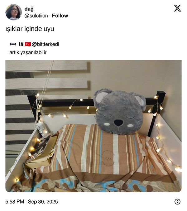 Küçük Patron Şakalarından Japoncanın Önemine: Son 24 Saatin Viral Şaşkınlık Dolu Tweetleri!