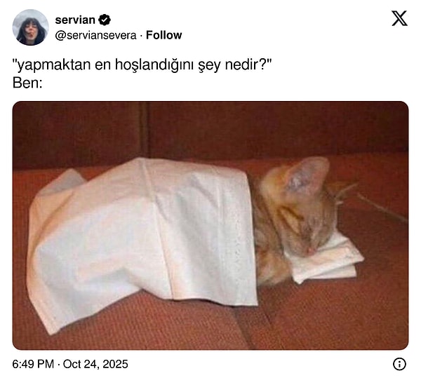 Kudurmak İçin Şarj Olan Kediden: Anneden Gelen Zorunlu Workshop’a Son 24 Saatin Viral Tweetleriyle Komik Kaçış