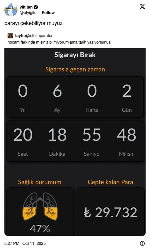 Mandalinaların Yeşermesinden Beğeni Fırtınası: Son 24 Saatin Viral Tweetleriyle Bebekler Gibi Şirinliklere Özenenler için Eğlence Dolu Dakikalar!