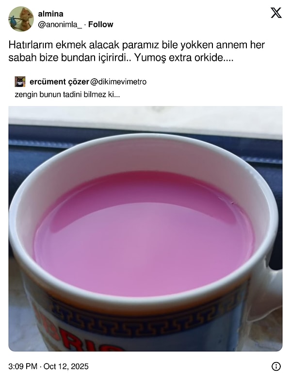 Mandalinaların Yeşermesinden Beğeni Fırtınası: Son 24 Saatin Viral Tweetleriyle Bebekler Gibi Şirinliklere Özenenler için Eğlence Dolu Dakikalar!