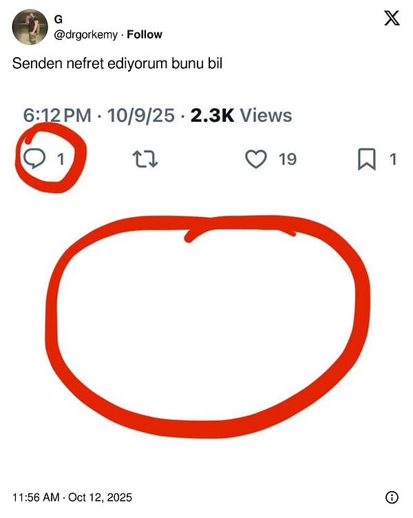 Mandalinaların Yeşermesinden Beğeni Fırtınası: Son 24 Saatin Viral Tweetleriyle Bebekler Gibi Şirinliklere Özenenler için Eğlence Dolu Dakikalar!