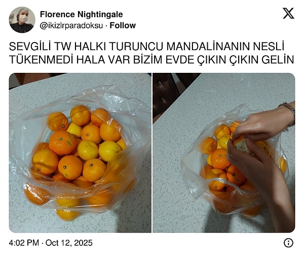 Mandalinaların Yeşermesinden Beğeni Fırtınası: Son 24 Saatin Viral Tweetleriyle Bebekler Gibi Şirinliklere Özenenler için Eğlence Dolu Dakikalar!