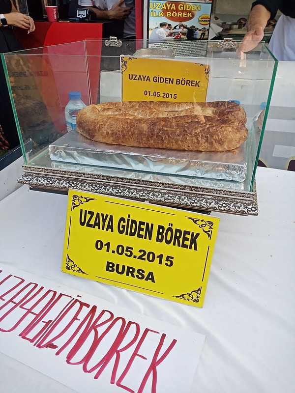 Saatlerce Baksanız Da Anlam Veremeyeceğiniz, İnsanları Gülümseten Bambaşka Fotoğraflar: Gösterişsiz Şaşkınlıklar