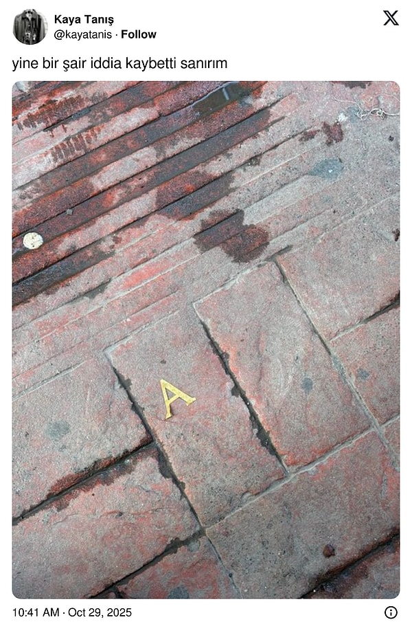 Salyangozlara Sorsak Yarı Şaka, Yarı Viral: Son 24 Saatin En Havalı Tweetleriyle Çakmak Hacılayan Arkadaşa Şaşırtıcı Hız! 🚀