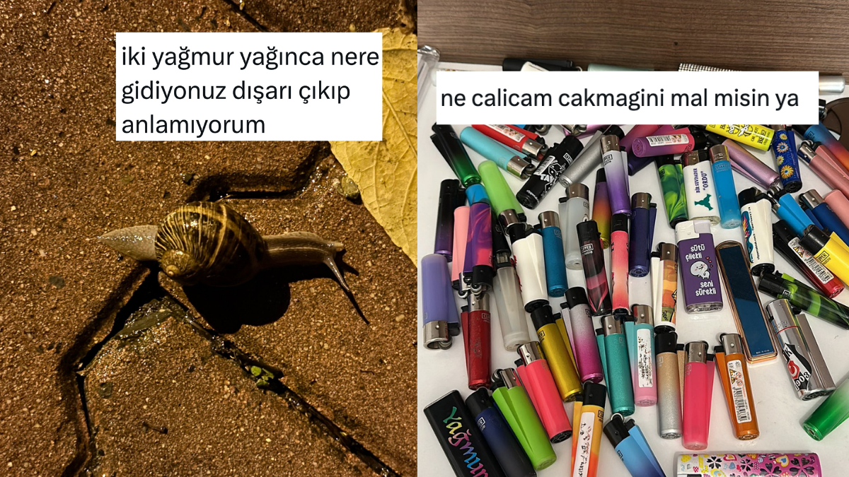Salyangozlara Sorsak Yarı Şaka, Yarı Viral: Son 24 Saatin En Havalı Tweetleriyle Çakmak Hacılayan Arkadaşa Şaşırtıcı Hız! 🚀
