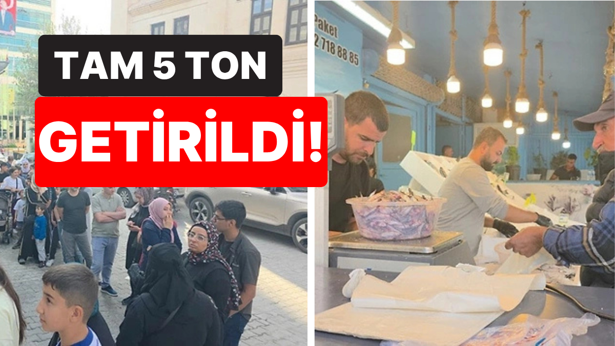 Şanlıurfa’da 35 Liralık Hamsi İçin Kuyruk