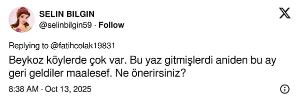 Son Virajda Kokarcadaki Felaket Türkiye’de Artıyor