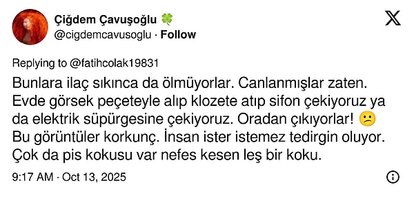 Son Virajda Kokarcadaki Felaket Türkiye’de Artıyor