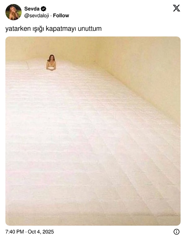 Sürekli İşin İçinde Kalan Kedilerden Son Cümleye Kadar Hafızasını Kaybeden Kedilerin Son 24 Saatteki Viral Tweetleri!