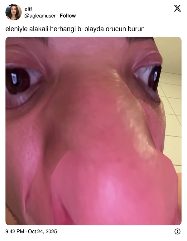 Taşacak Bu Denizi Mizahına Alet Ederek Hepimizi Gülerken Şamata Toplayan Goygoyseverler!
