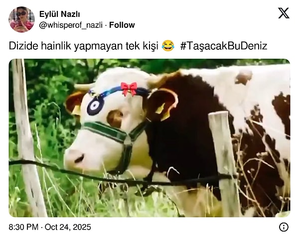 Taşacak Bu Denizi Mizahına Alet Ederek Hepimizi Gülerken Şamata Toplayan Goygoyseverler!