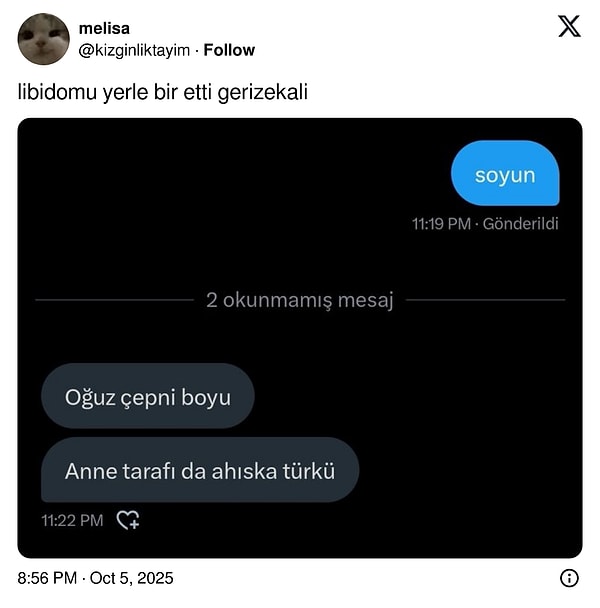 Türkçenin Esnekliğini Mizaha Dönüştüren Şaşırtıcı ve Eğlenceli Twitter Şahaneleri