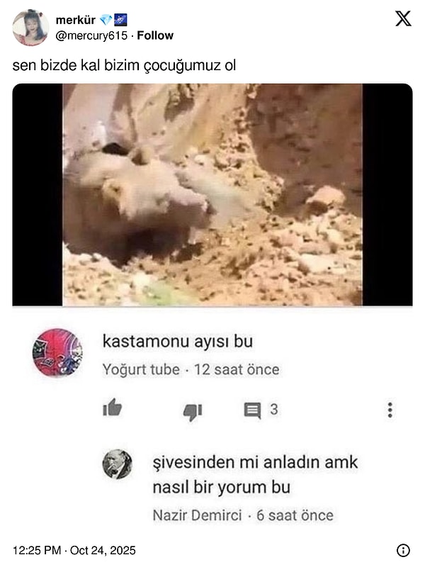 Türkiye’de Kalacak: Yavru Goril Zeytinin Nijeryalı Olmadığı Ortaya Çıkınca Goygoyu Eksik Kalmadı – Afin Şakasıyla Şenlenen Hayvanat Bahçesi Macerası!