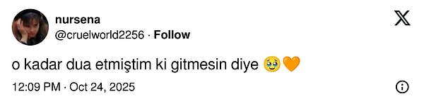 Türkiye’de Kalacak: Yavru Goril Zeytinin Nijeryalı Olmadığı Ortaya Çıkınca Goygoyu Eksik Kalmadı – Afin Şakasıyla Şenlenen Hayvanat Bahçesi Macerası!