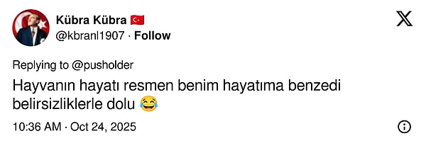 Türkiye’de Kalacak: Yavru Goril Zeytinin Nijeryalı Olmadığı Ortaya Çıkınca Goygoyu Eksik Kalmadı – Afin Şakasıyla Şenlenen Hayvanat Bahçesi Macerası!