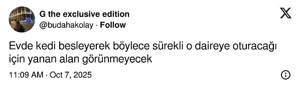 Yanık Halıya Çözümlerle Zekasıyla Şaşırtan İnsanlar: Büyüleyici Buluşlar!