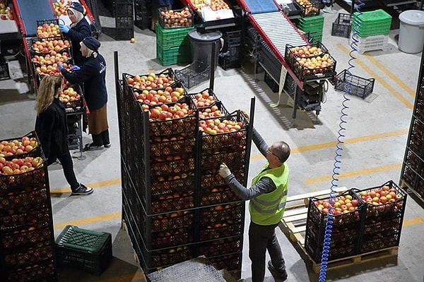 25 ÜLKEYE İHRAÇ EDEN TÜRK GIDA DEVRİ İLANI