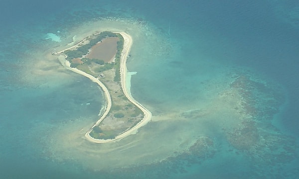 ABD'li İki Kişinin Korkunç Planı: Gonave Adası'nı İşgal ve Köleleştirme İddiası
