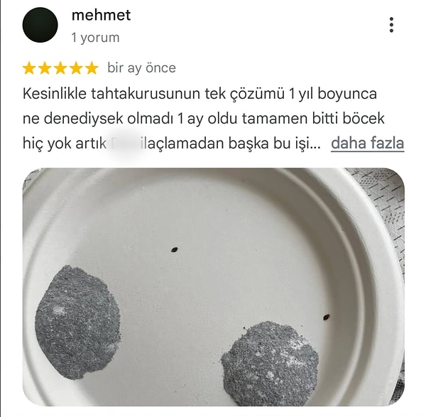 Böcek Aileysi ve Şüpheler Üzerine Yorumlar Ortaya Çıktı