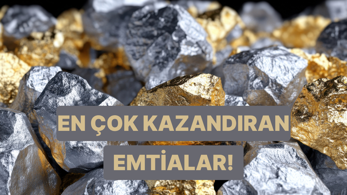 Bu Yıl En Çok Kazandıran 5 Emtia: Dr. Hakan Özerol’ün Sıralaması