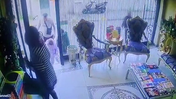 Fatihte Zehirlenen Böcek Ailesinin Son Görüntüleri Ortaya Çıktı