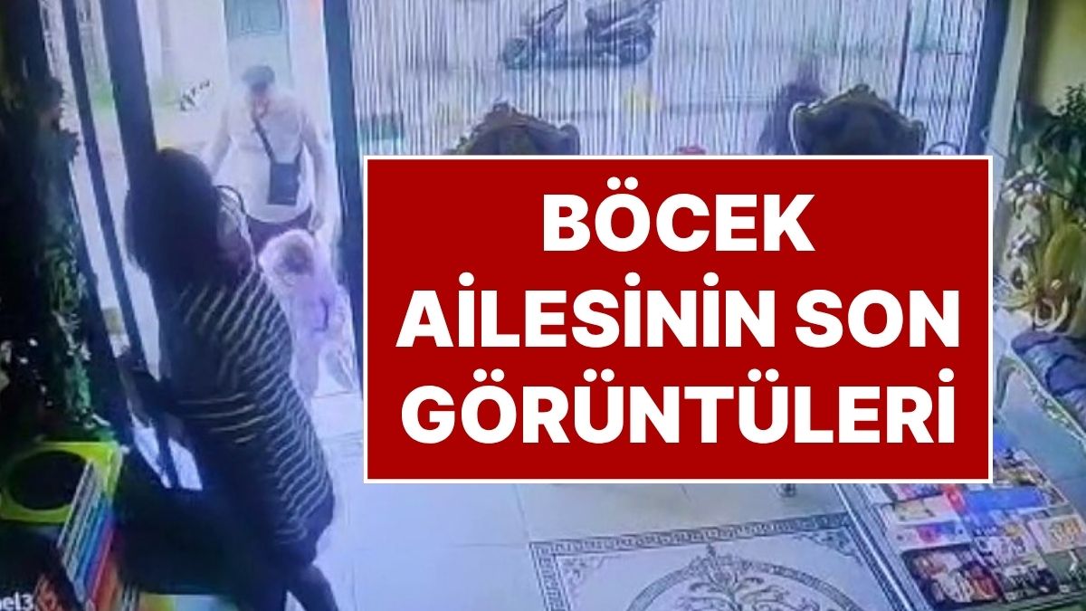 Fatihte Zehirlenen Böcek Ailesinin Son Görüntüleri Ortaya Çıktı