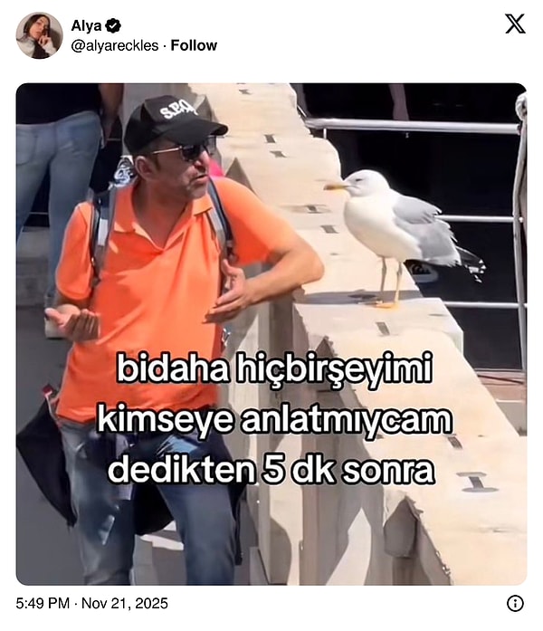 Gece Yarısı Ortaya Çıkan Araştırmacı Kişiliğin İçindeki Hızlı Yolculuk: Kasım’a Kendini Bırakan Son 24 Saatin Viral Tweetleri