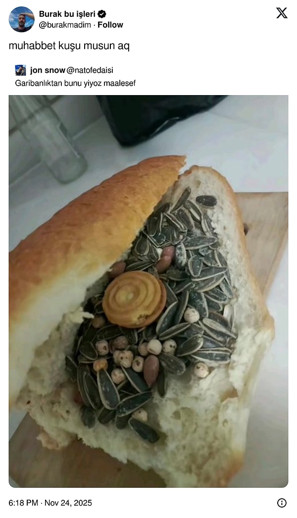 Her Rolün İnsanı: Farah Zeynepten Acı Tespitler ve Son 24 Saatin Viral Tweetleri — Hayatın En Komik Kırılma Anları!