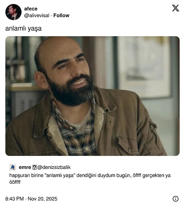 Kasım Ayı Sivrisineklerinden Bıkanlara Son 24 Saatte Viral Işık Hızıyla Değişim: Zorbalığı Durdur, Eğlenceyi Keşfet!